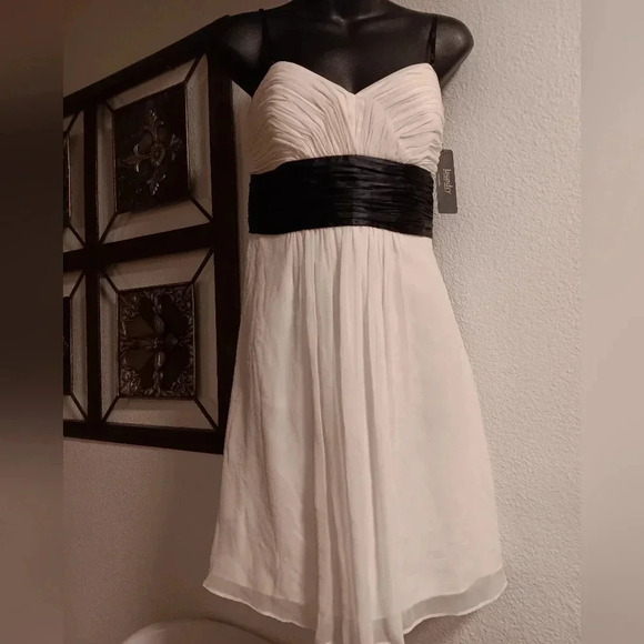 Laundry By Shelli Segal Off White Size 6 Silk Pleated A-Line Empire Dress - Picture 1 of 7